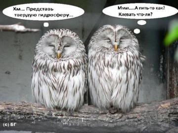 "Мыздобулы" в картинках. Смешных и не очень... 26.05.2017