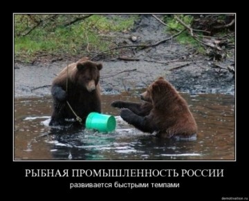 "Мыздобулы" в картинках. Смешных и не очень... 26.05.2017