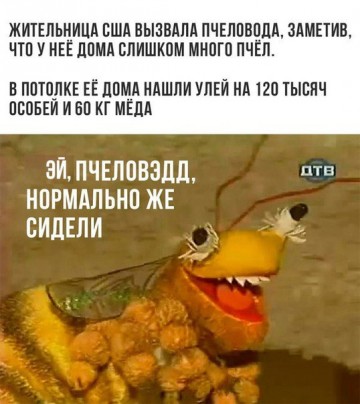 "Мыздобулы" в картинках. Смешных и не очень... 26.05.2017