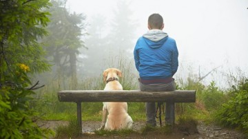 Димка и собака