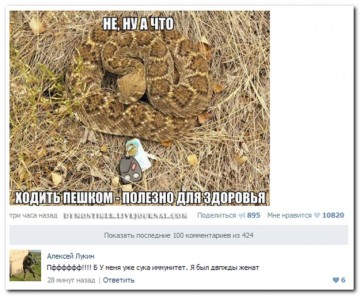 "Мыздобулы" в картинках. Смешных и не очень... 30.05.2017