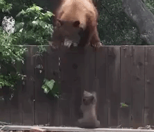 Мама помоги!