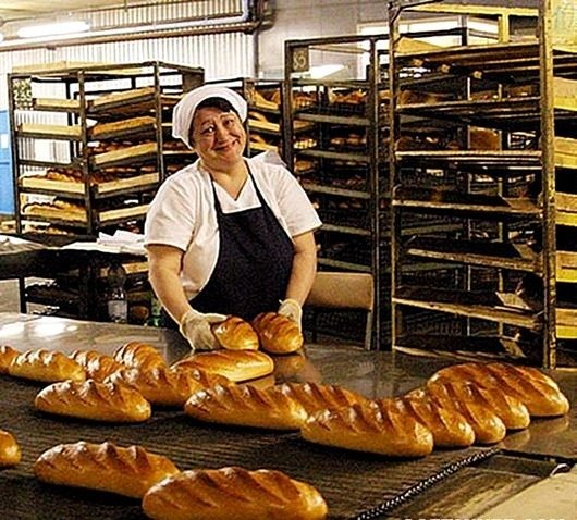 Держите ли вы хлеб в холодильнике? Держите ли вы хлеб в холодильнике?