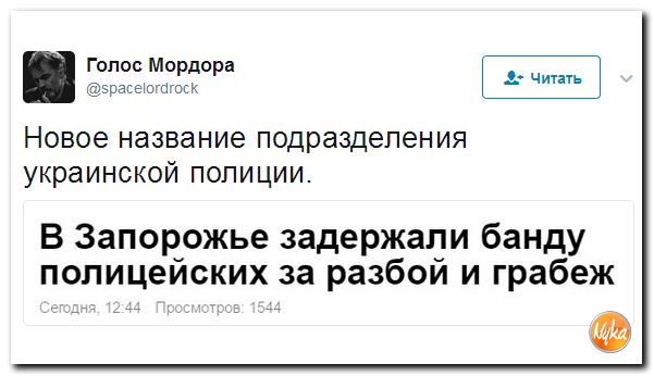 Здобулы: В Украине продолжает расти уровень преступности Здобулы: В Украине продолжает расти уровень преступности
