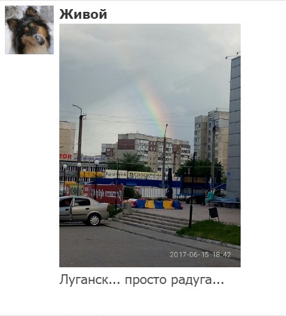 "Мыздобулы" в картинках. Смешных и не очень...17.06.2017