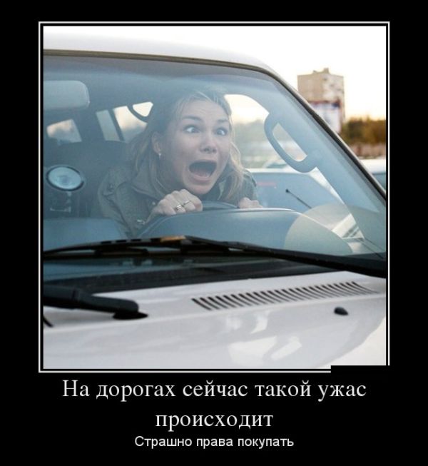 Водители от Бога! Профессионалы 80 уровня.