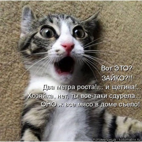 Гагарин, я вас любила Гагарин, я вас любила