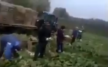 Безвиз працюе, турЫсты кайфують