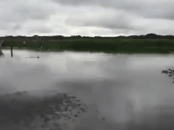 Что может скрываться под спокойной водой: 6 пугающих примеров