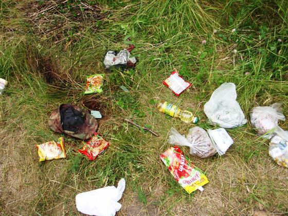 Сводка от НМ ЛНР 28 июня 2017. Совместный брифинг НМ и Генпрокуратуры ЛНР о зверствах ВСУ в отношении пленных [18+ Фото, видео]