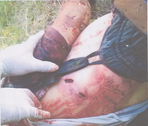 Сводка от НМ ЛНР 28 июня 2017. Совместный брифинг НМ и Генпрокуратуры ЛНР о зверствах ВСУ в отношении пленных [18+ Фото, видео]