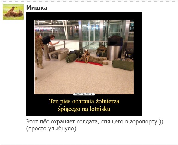 "Мыздобулы" в картинках. Смешных и не очень...28.06.2017 "Мыздобулы" в картинках. Смешных и не очень...28.06.2017