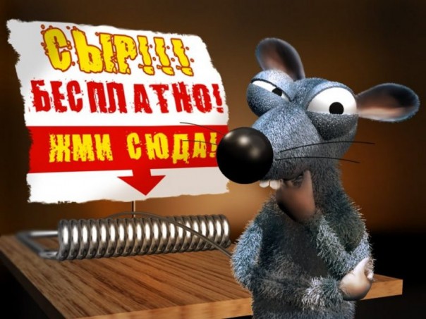 "Ползучий возврат Крыма стартовал". Юлия Витязева