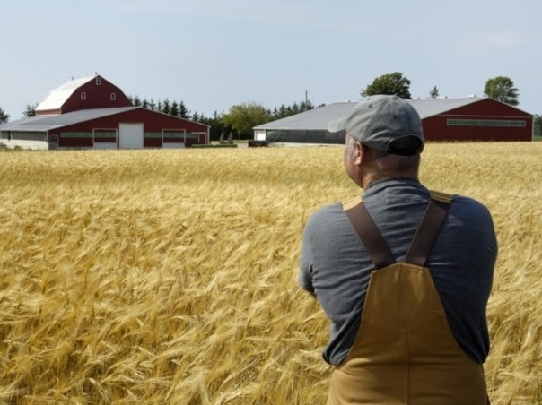 Аграрная колония: что на самом деле значит интеграция Украины с ЕС