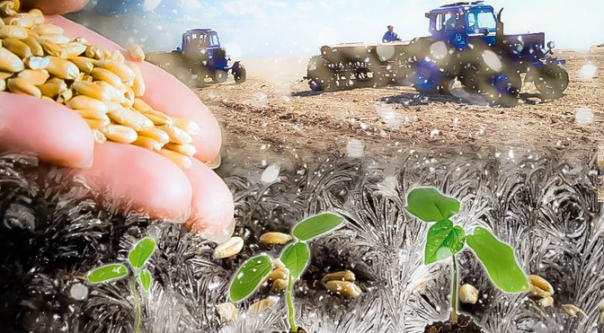 Погода сильно изменила цены на продукты: чего нам ждать от зеленой зимы?