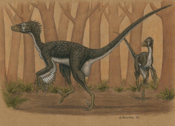 Интересные факты о динозаврах