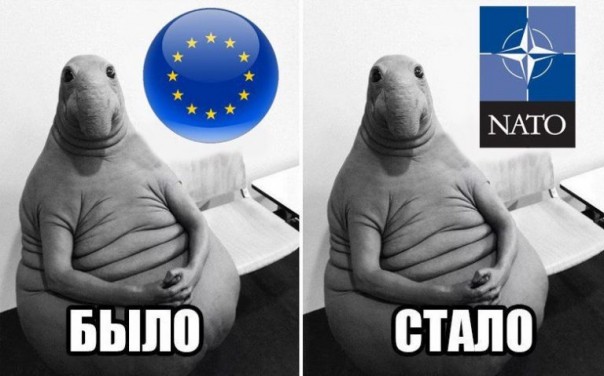 Украинцы получили новую «пилюлю» ожидания от Киева