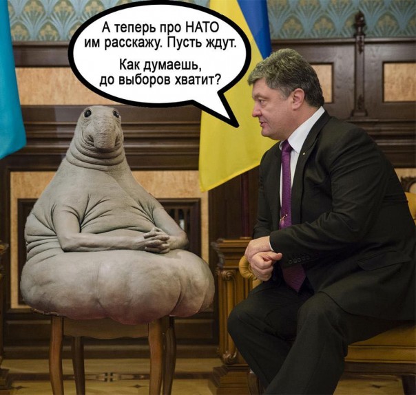 Как стать Европой и европейцем. Юлия Витязева                                                  