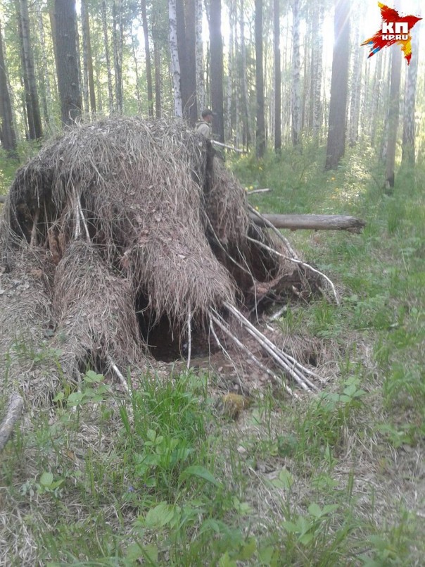 На Урале потерявшийся в лесу мальчик пять дней ел траву и пил из болота, чтобы выжить На Урале потерявшийся в лесу мальчик пять дней ел траву и пил из болота, чтобы выжить