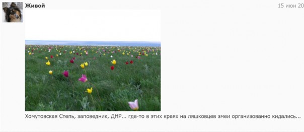 "Мыздобулы" в картинках. Смешных и не очень...17.06.2017