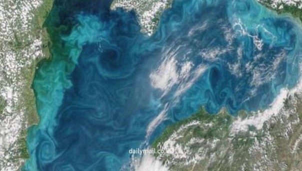 Черное море стало бирюзовым