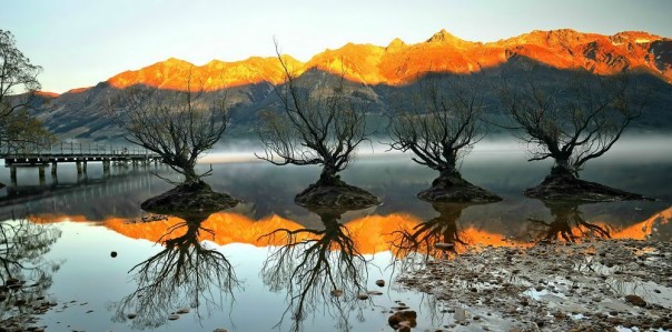 Великолепные фотографии из серии "Фото дня" Великолепные фотографии из серии "Фото дня"