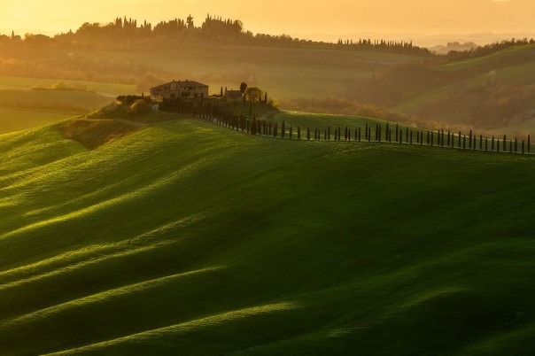 Великолепные фотографии из серии "Фото дня" Великолепные фотографии из серии "Фото дня"