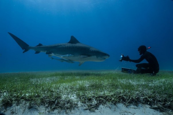 Великолепные фотографии из серии "Фото дня" Великолепные фотографии из серии "Фото дня"