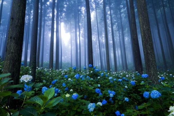 Великолепные фотографии из серии "Фото дня" Великолепные фотографии из серии "Фото дня"