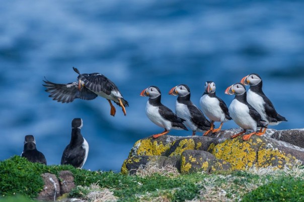 Великолепные фотографии из серии "Фото дня" Великолепные фотографии из серии "Фото дня"