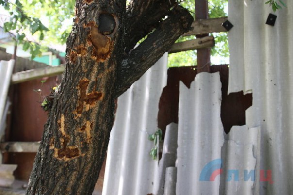 Сводка от НМ ЛНР 19 июня 2017. Укрофашисты 10 раз нарушили "режим тишины", житель села Желтое погиб, подорвавшись на установленной ВСУ растяжке Сводка от НМ ЛНР 19 июня 2017. Укрофашисты 10 раз нарушили "режим тишины", житель села Желтое погиб, подорвавшись на установленной ВСУ растяжке