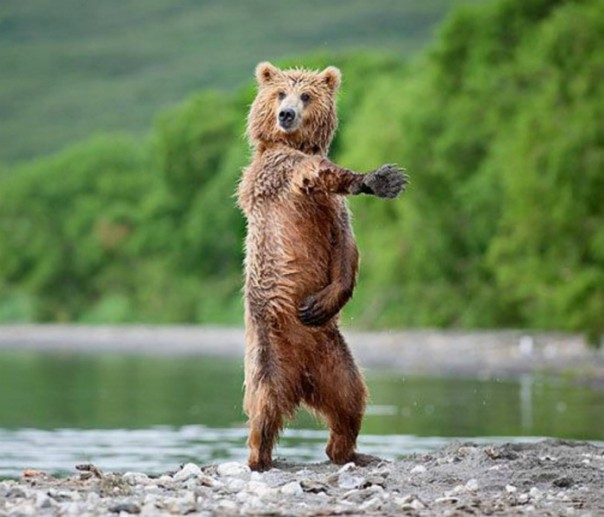 Гагарин, я вас любила Гагарин, я вас любила