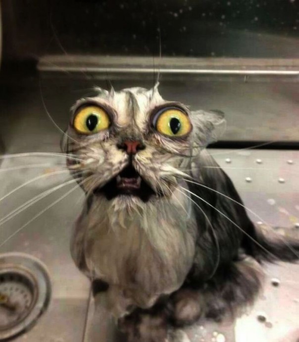 Гагарин, я вас любила Гагарин, я вас любила