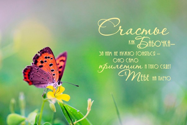 Сказочка на ночь. Сказочка на ночь.