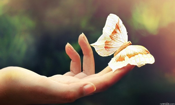 Сказочка на ночь. Сказочка на ночь.