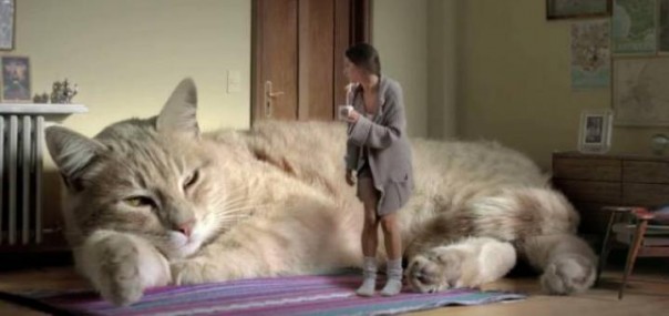 Как британец замерзает без колхоза Как британец замерзает без колхоза