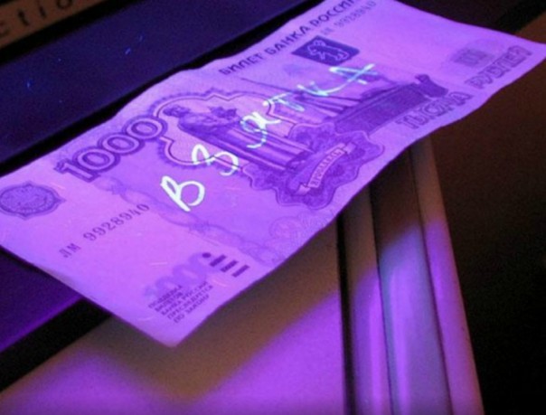 Ужесточение наказания: Правительство РФ планирует внести поправки в уголовный кодекс