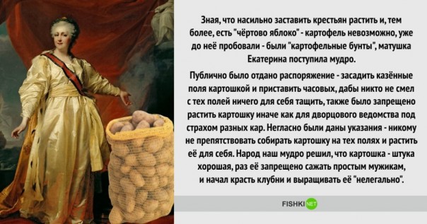Мудрые исторические решения