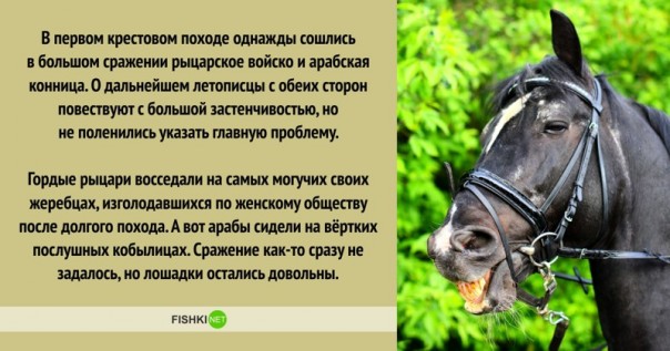 Мудрые исторические решения