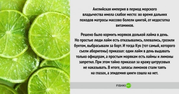 Мудрые исторические решения