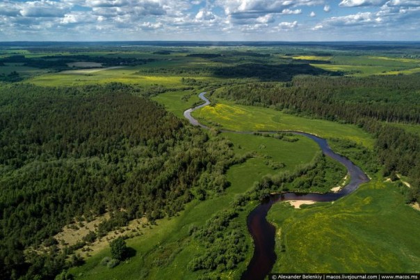 Таблетка от русофобии