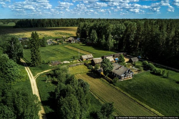 Таблетка от русофобии