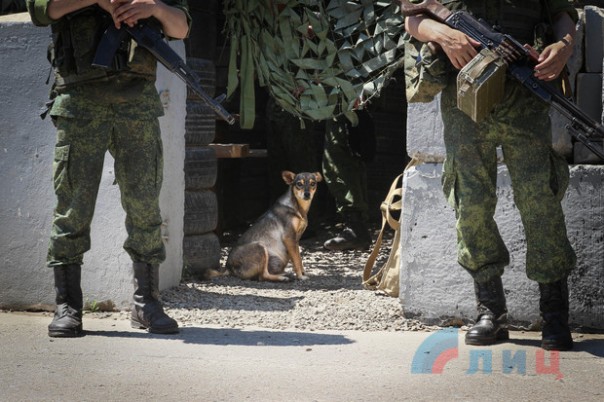 Сводка от НМ ЛНР 30 июня 2017. Укрофашисты за неделю выпустили по территории ЛНР почти 1100 боеприпасов Сводка от НМ ЛНР 30 июня 2017. Укрофашисты за неделю выпустили по территории ЛНР почти 1100 боеприпасов