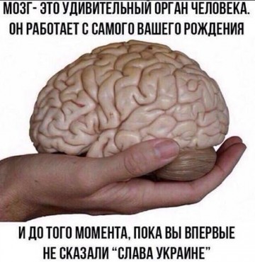 "Мыздобулы" в картинках. Смешных и не очень... 02.06.2017