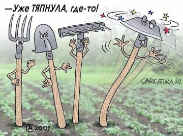 "Мыздобулы" в картинках. Смешных и не очень... 06.06.2017