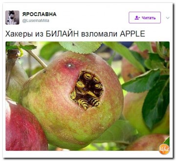 "Мыздобулы" в картинках. Смешных и не очень...12.06.2017