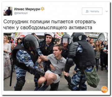 "Мыздобулы" в картинках. Смешных и не очень...14.07.2017