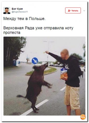 "Мыздобулы" в картинках. Смешных и не очень...14.07.2017