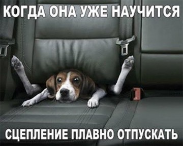 "Мыздобулы" в картинках. Смешных и не очень...14.07.2017