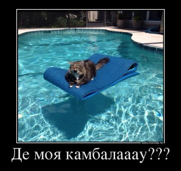 "Мыздобулы" в картинках. Смешных и не очень...15.07.2017